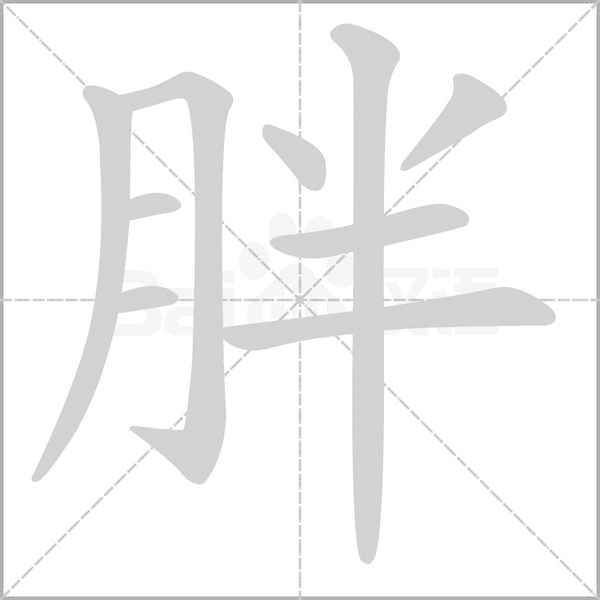 胖的筆順