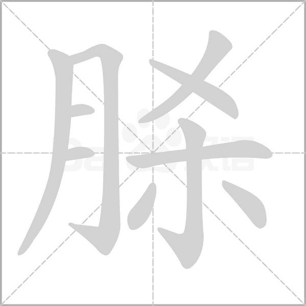脎的筆順