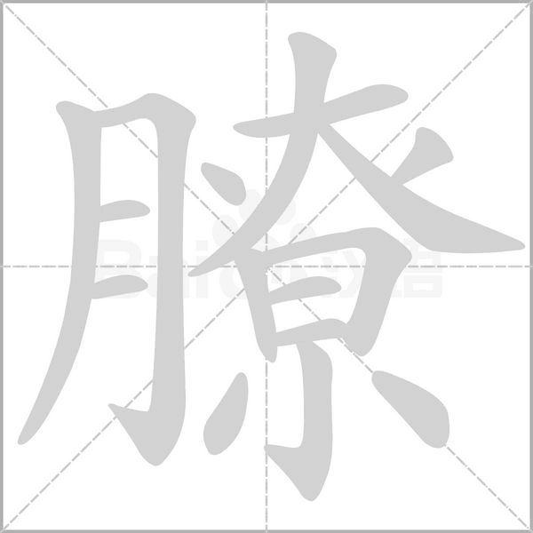膫的筆順