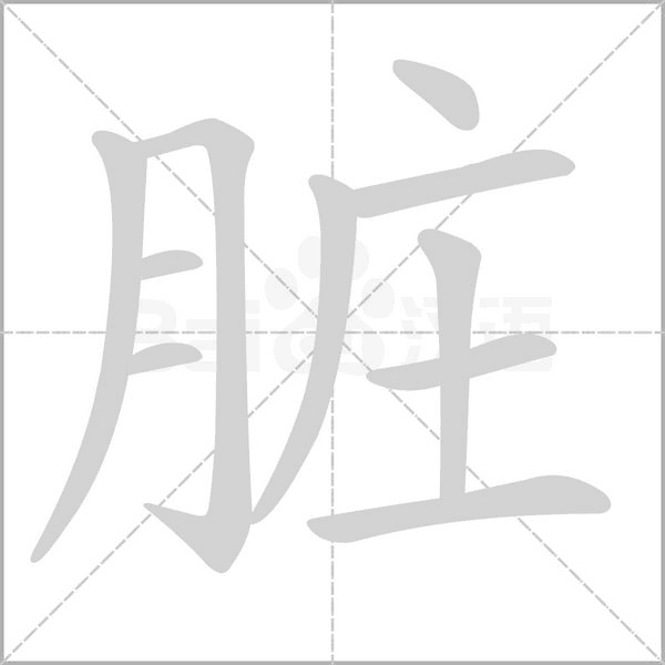 臟的筆順