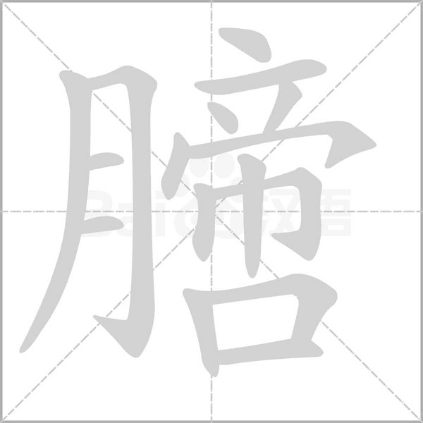 膪的筆順