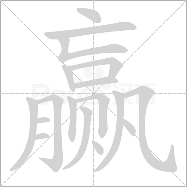 贏的筆順