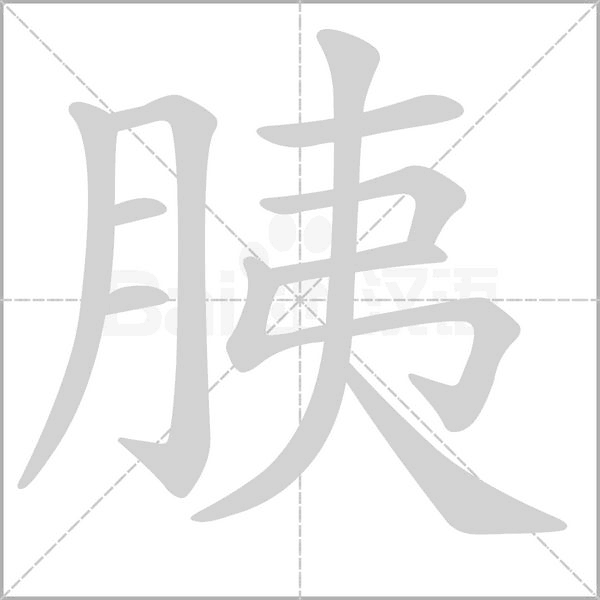 胰的筆順