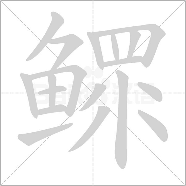 鰥的筆順