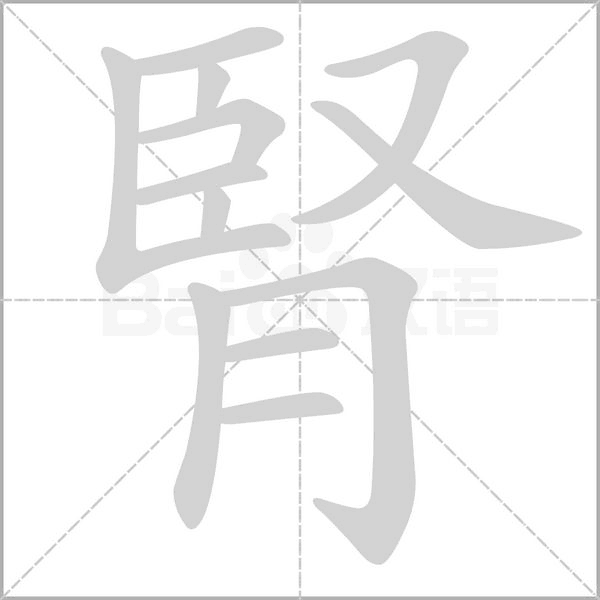 腎的筆順