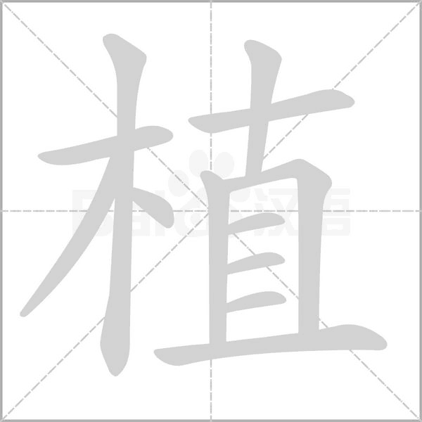 植的筆順