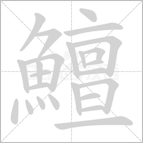 鱣的筆順