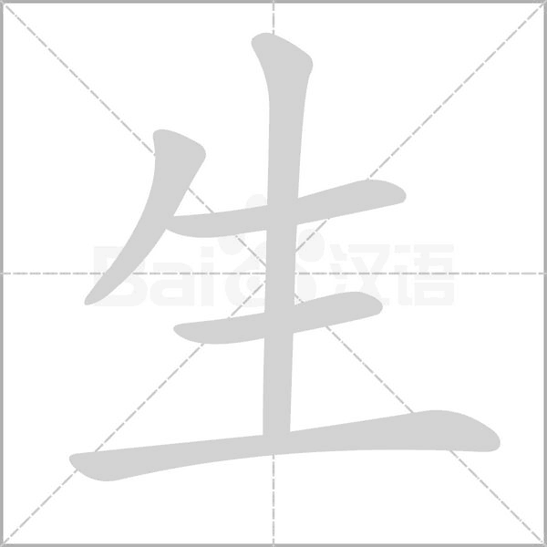 生的筆順