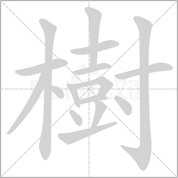 樹的筆順