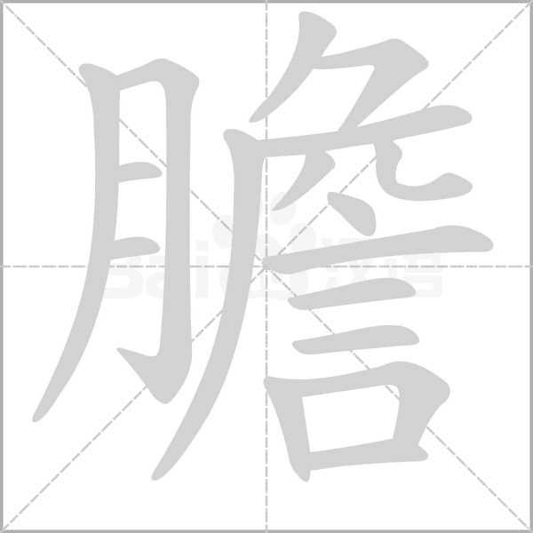 膽的筆順