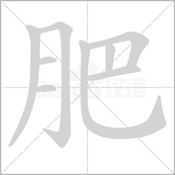 肥的筆順
