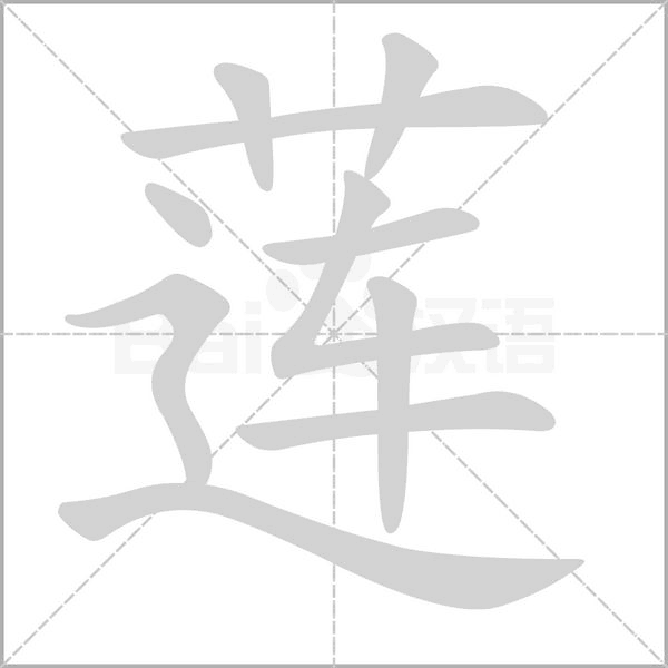 蓮的筆順
