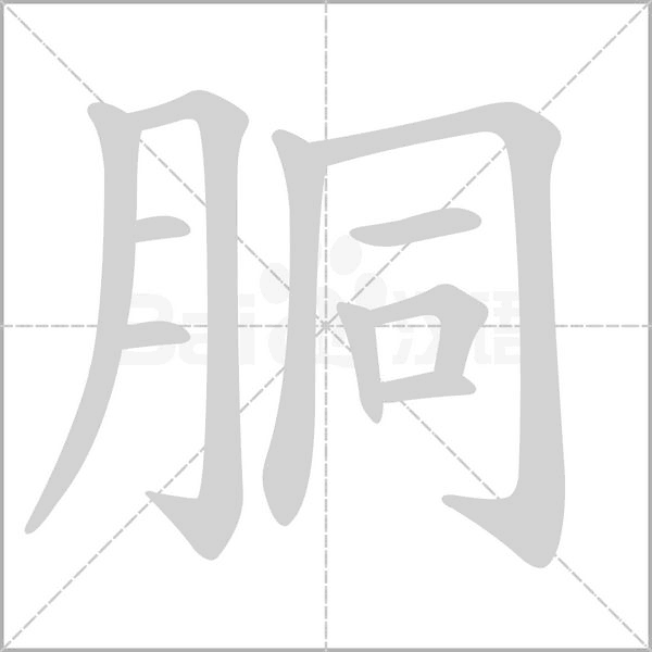 胴的筆順
