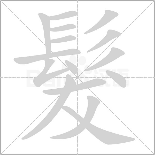 髮的筆順