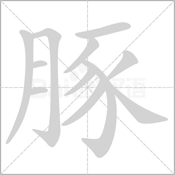 豚的筆順