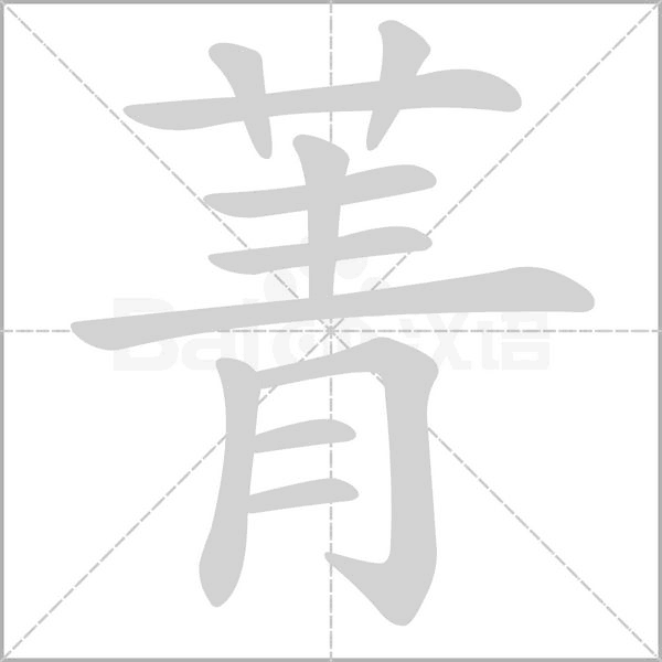 菁的筆順