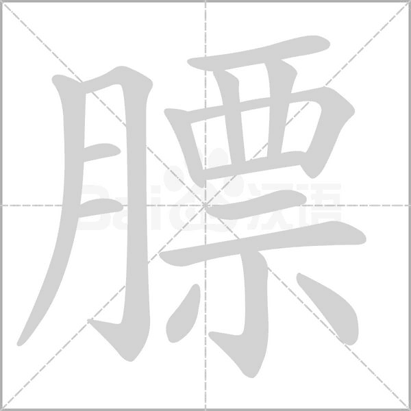 膘的筆順