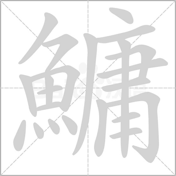 鱅的筆順