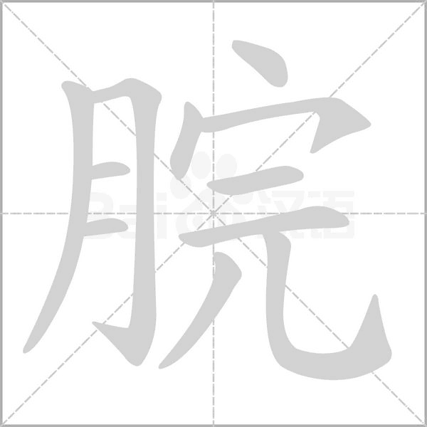脘的筆順