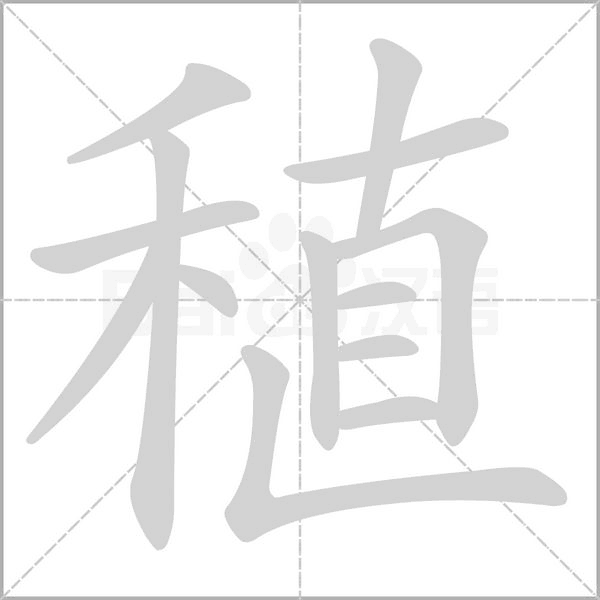 稙的筆順