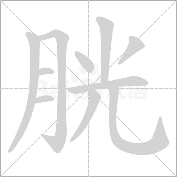 胱的筆順