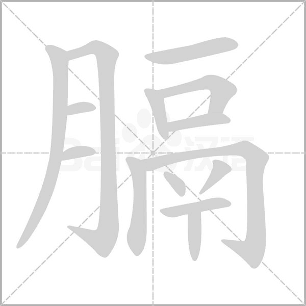 膈的筆順