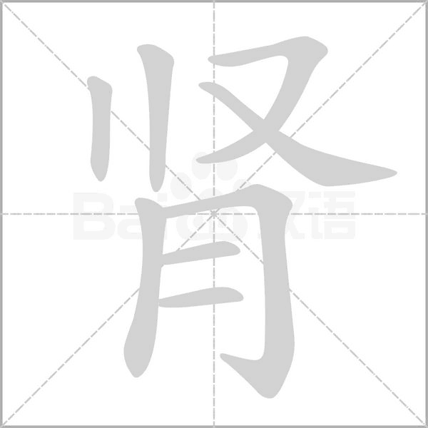 腎的筆順