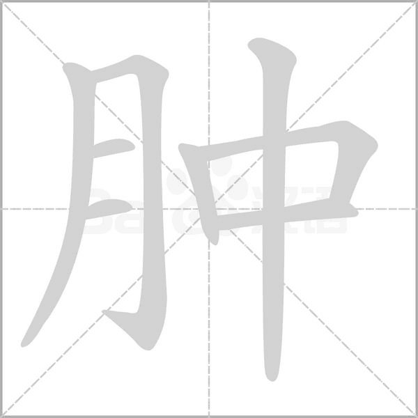 腫的筆順