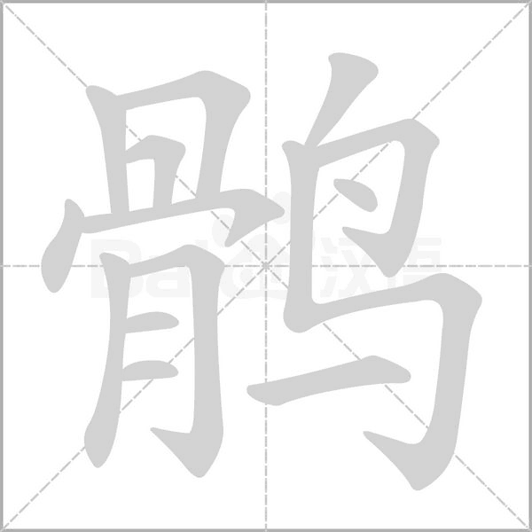 鶻的筆順