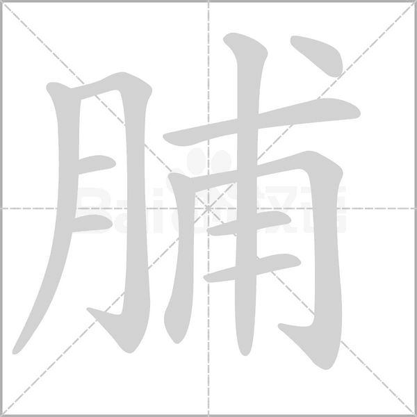 脯的筆順