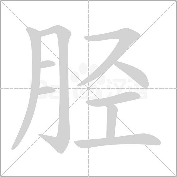 脛的筆順