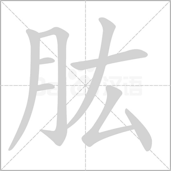肱的筆順