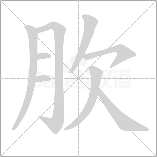 肷的筆順
