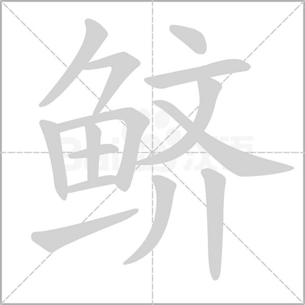 鱭的筆順
