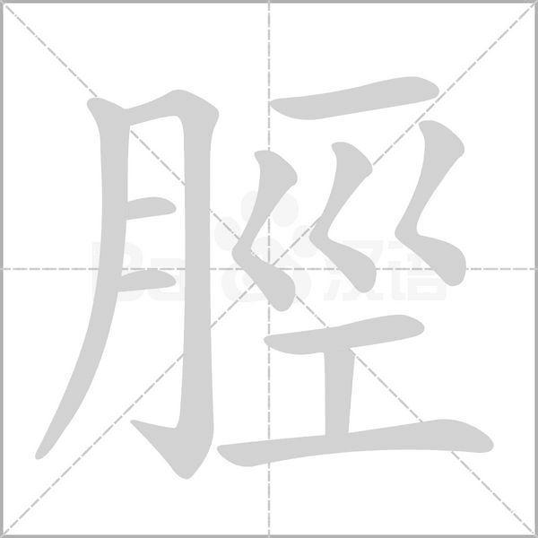 脛的筆順