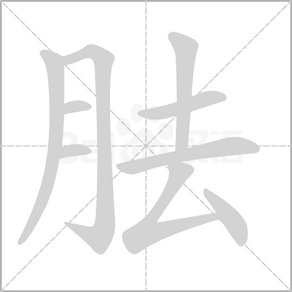胠的筆順