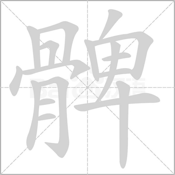 髀的筆順