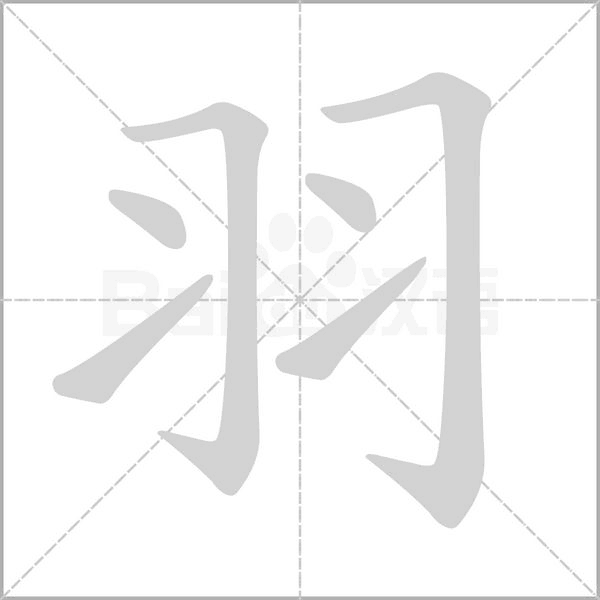 羽的筆順