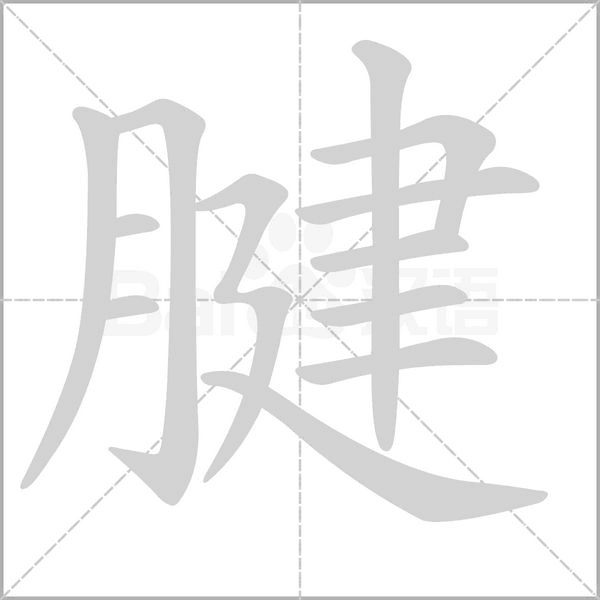 腱的筆順