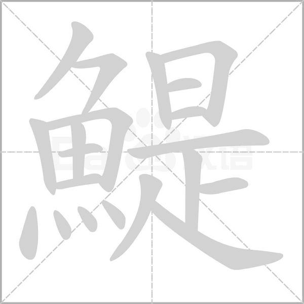 鯷的筆順
