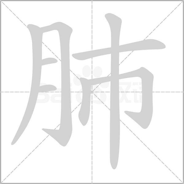 肺的筆順