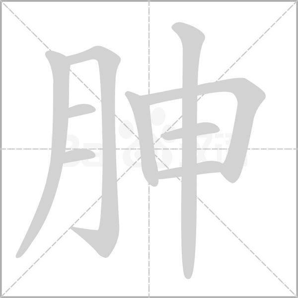 胂的筆順