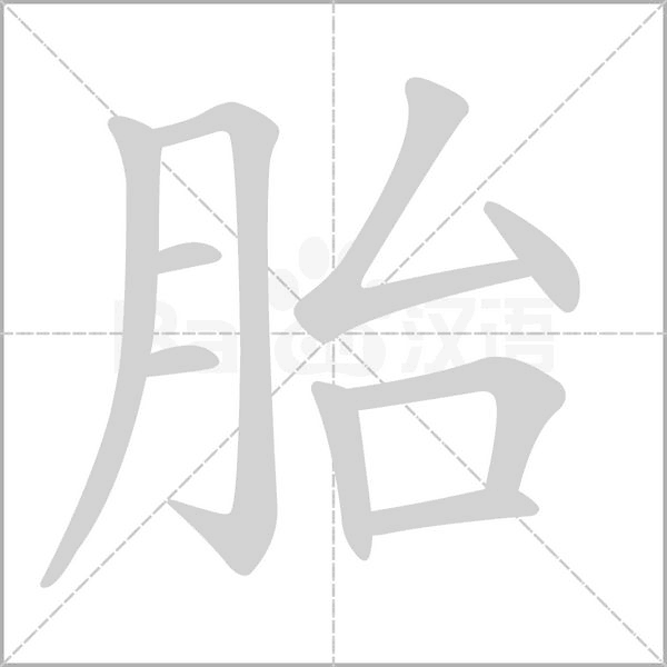 胎的筆順
