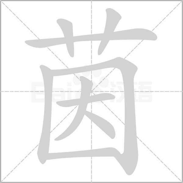 茵的筆順