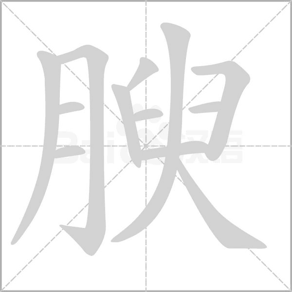 腴的筆順