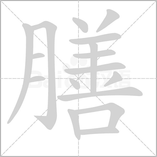 膳的筆順