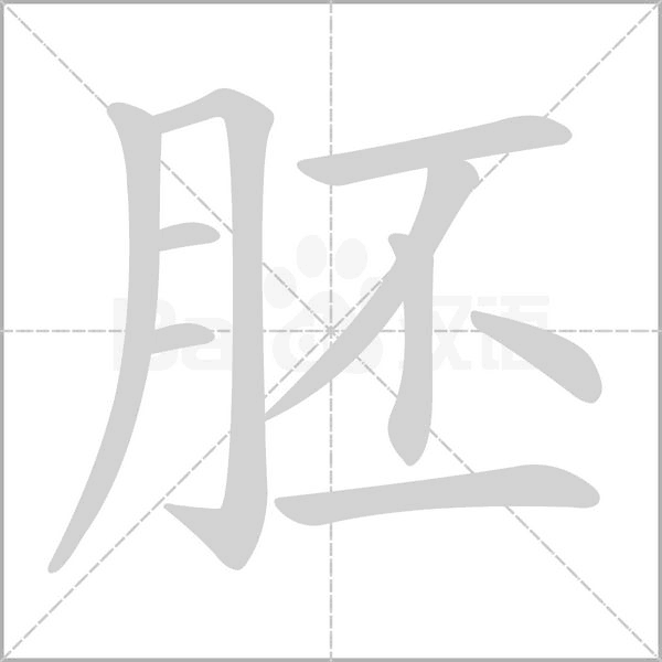 胚的筆順