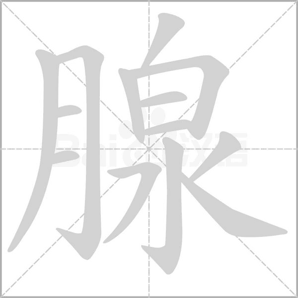 腺的筆順