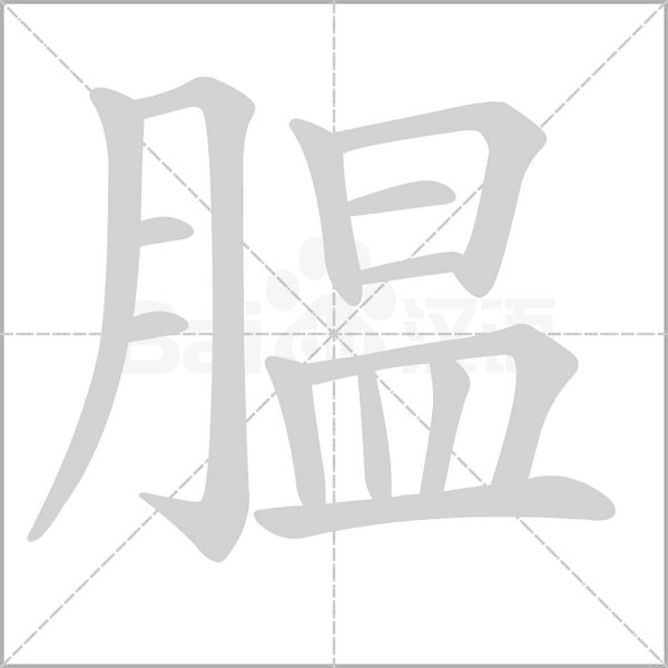 膃的筆順