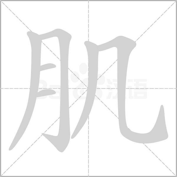 肌的筆順